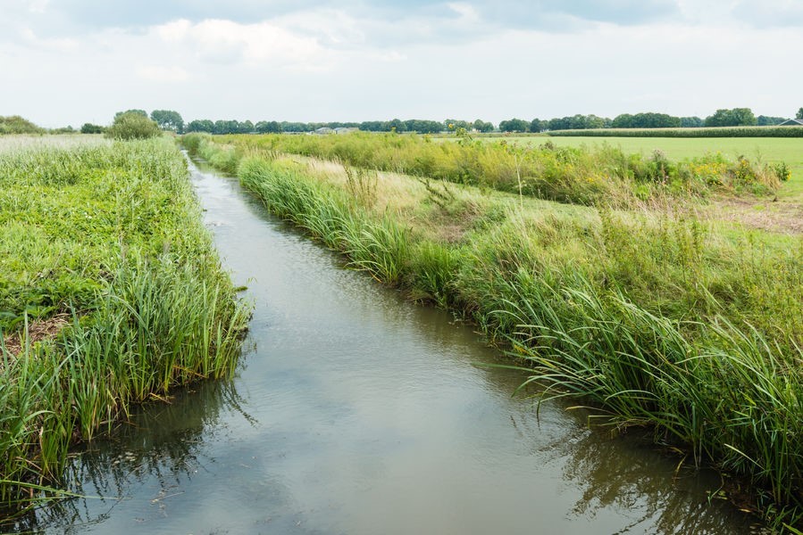 agrarisch natuurbeheer.jpg